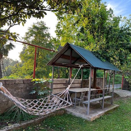 Anamaria Hotel Batoemi Buitenkant foto